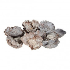 DECORATIVE FLOWERS DRY NATURAL