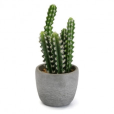 DECORATIVE PLANT VERSA PLASTIC (14 X 33 X 14 CM)