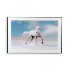 PAINTING VERSA HORSE CRYSTAL MDF WOOD (2 X 60 X 40 CM)