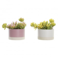 DECORATIVE PLANT DKD HOME DECOR WHITE GREEN YELLOW LIGHT PINK STONEWARE PE (15 X 12 X 13 CM) (2 UNITS)