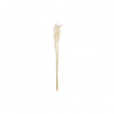 BUNCH DKD HOME DECOR OATMEAL BEIGE (8 X 3 X 57 CM)