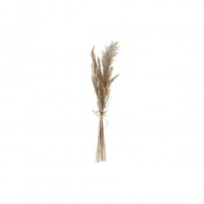 BUNCH DKD HOME DECOR DRY BEIGE BROWN (12 X 3 X 53 CM)
