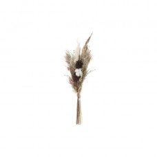 BUNCH DKD HOME DECOR DRY BROWN LIGHT PINK (10 X 7 X 56 CM)