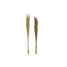 BUNCH DKD HOME DECOR BROWN NATURAL (7 X 7 X 118 CM) (2 UNITS)